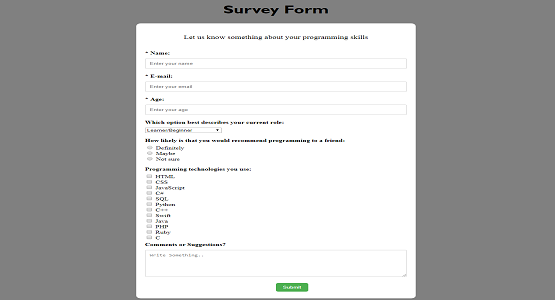 Survey Form Project Screenshot